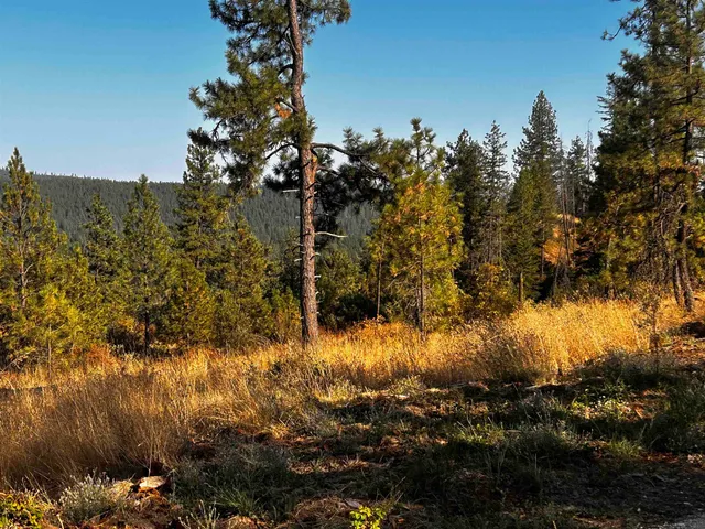 $184,950 | 4330192100 Horseshoe Lake Road, Deer Park, WA 99006