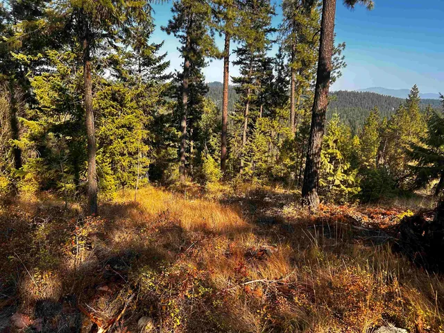 $184,950 | 4330192100 Horseshoe Lake Road, Deer Park, WA 99006