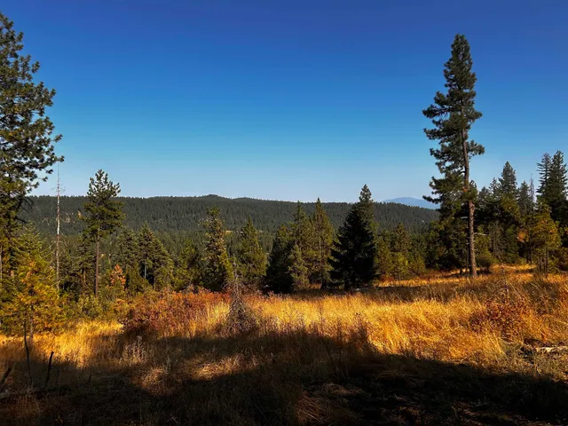 $184,950 | 4330192100 Horseshoe Lake Road, Deer Park, WA 99006