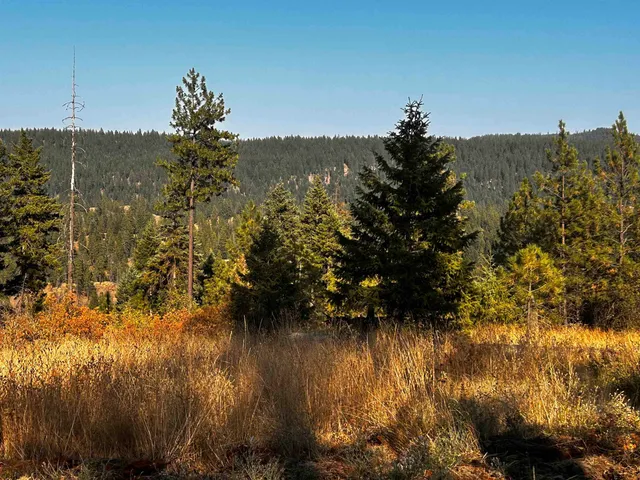 $184,950 | 4330192100 Horseshoe Lake Road, Deer Park, WA 99006