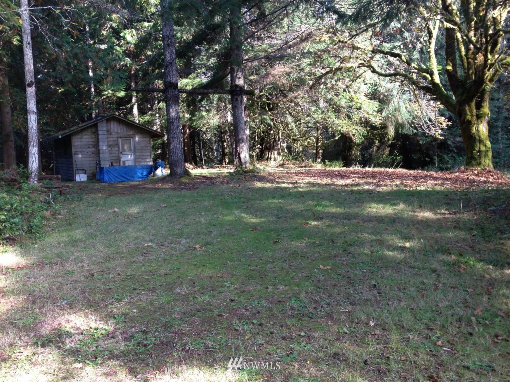 0 Oppelt Road Elma, WA 98541 - Photo 4 of 6 Gallery Image 4