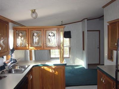 9770 North Granger Road Irons, MI 49644 - Photo 3 of 12 Additional Photo