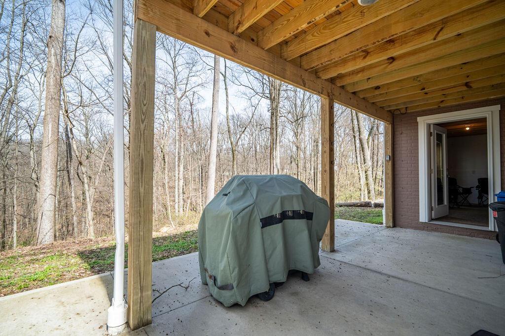 12861 Jack Run Road Rockbridge, OH 43149 - Photo 26 of 41 Grill just steps from Walkout Basement
