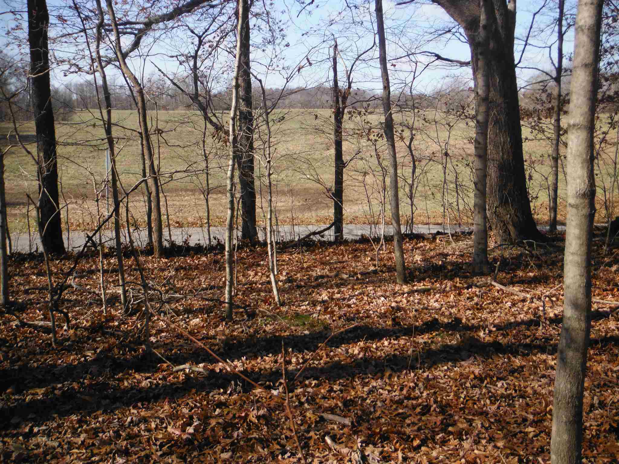585 Kaolin Road Cobden, IL 62920 - Photo 2 of 5 Gallery Image 2