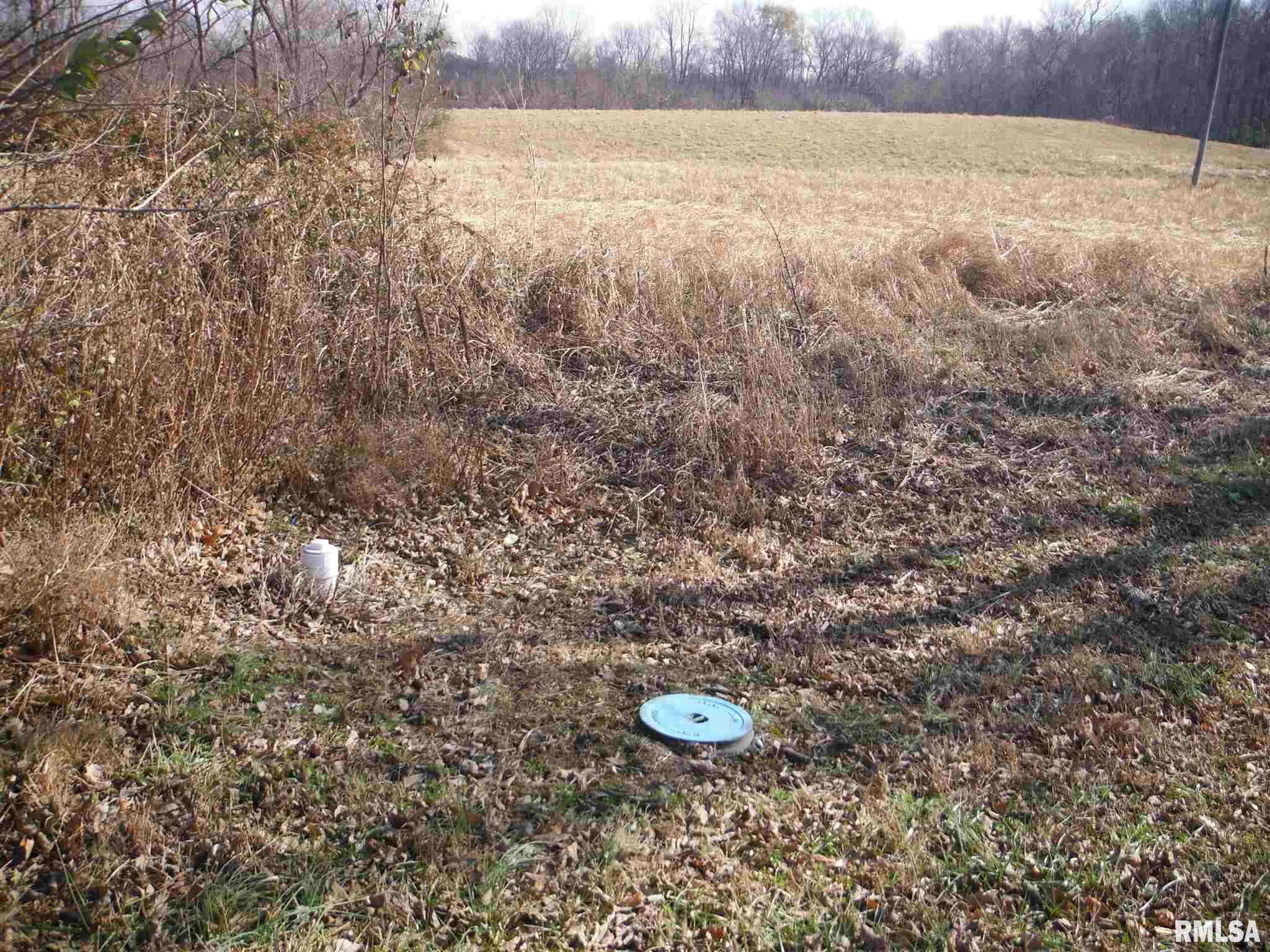 585 Kaolin Road Cobden, IL 62920 - Photo 3 of 5 Gallery Image 3
