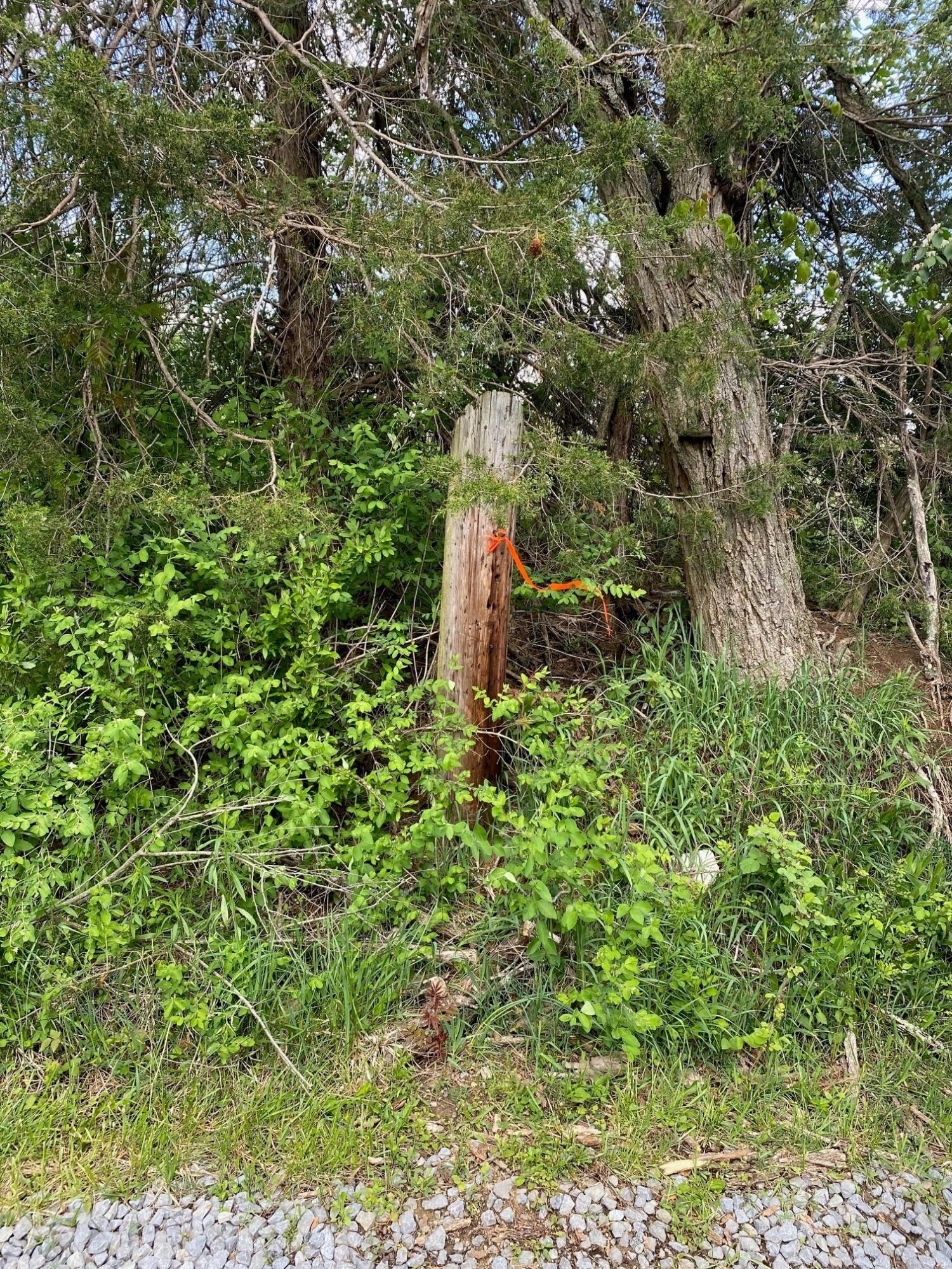 1 Gravely Point Road Pipestem, WV 25979 - Photo 2 of 2 Gallery Image 2