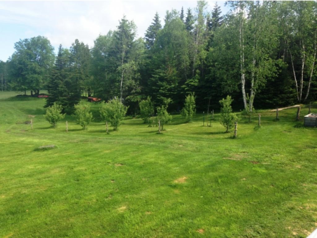 163 Taylor Road Cabot, VT 05647 - Photo 23 of 24