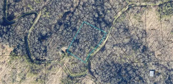 a yard with tall trees