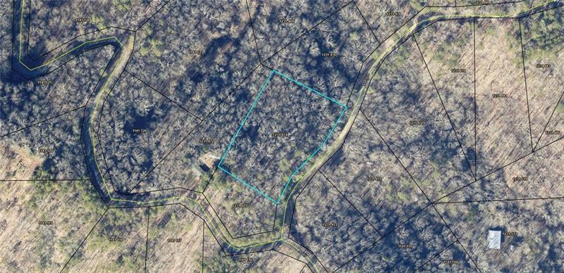 a yard with tall trees