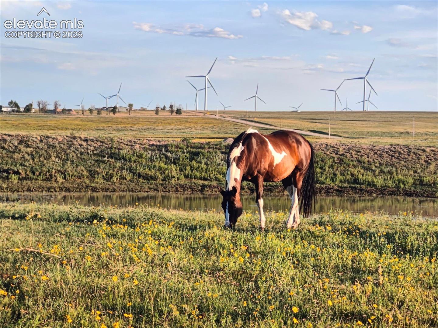 2 Currier Road Calhan, CO 80808 - Photo 11 of 15 Gallery Image 11
