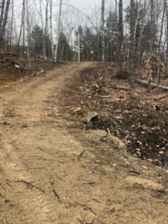 Lot 39 Tripptown Road Hiram, ME 04041 - Photo 5 of 9 IMG958864