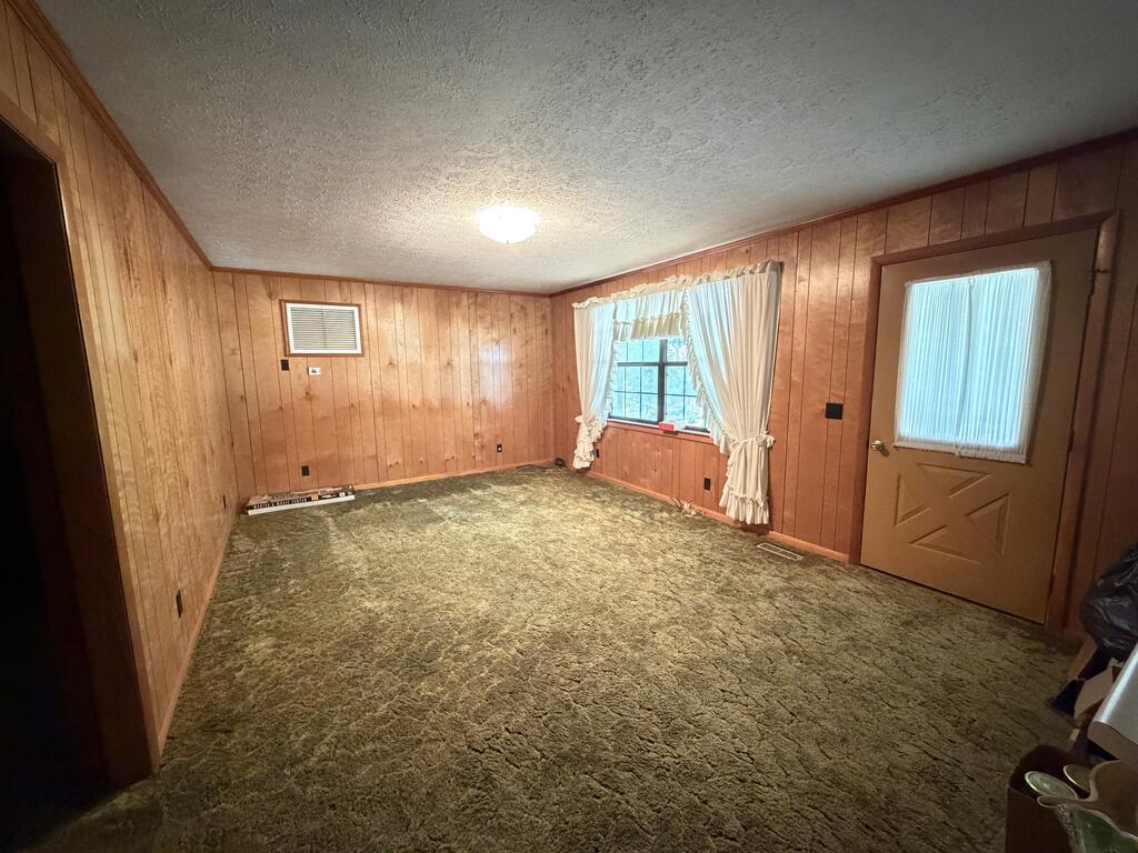 315 Barnes Mill Road Hartford, AL 36344 - Photo 6 of 45 Gallery Image 6