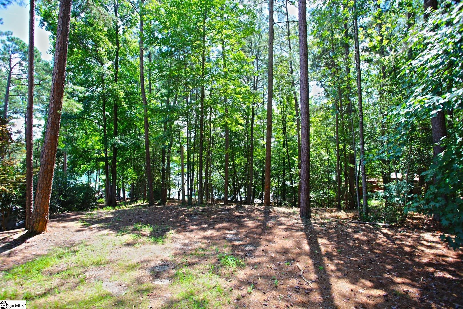 86 Peninsula Road West Union, SC 29696 - Photo 32 of 45 Gallery Image 32