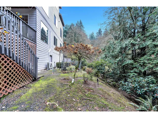 a view of backyard of house