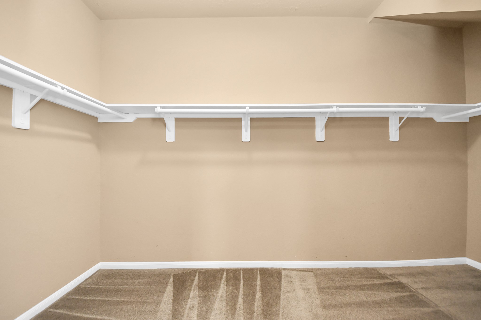 1 Desert Spring Lane Manvel, TX 77578 - Photo 27 of 45 a close up view of racks on the wall