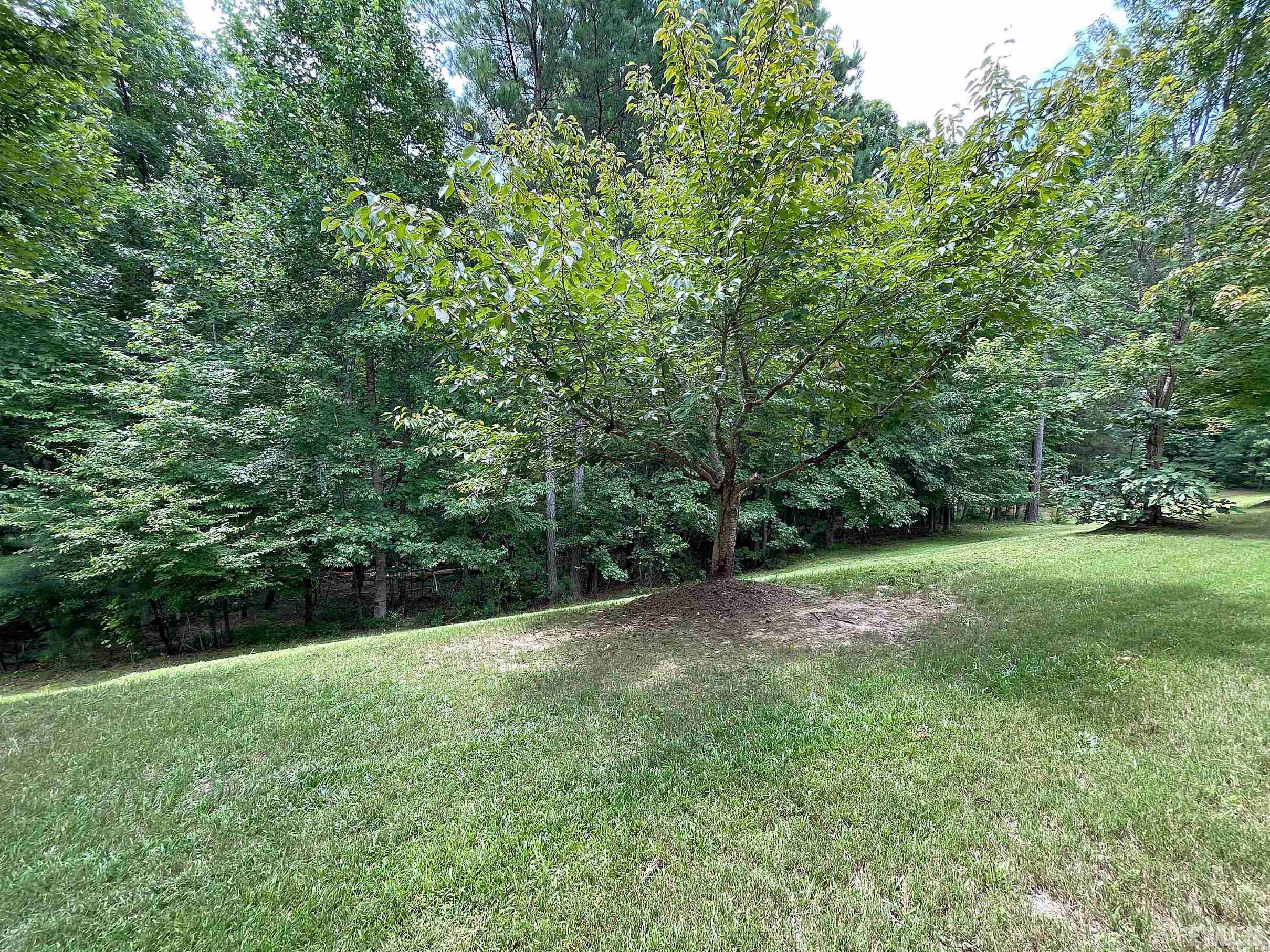 207 Beckingham Loop Cary, NC 27519 - Photo 31 of 40 a view of a yard with a trees