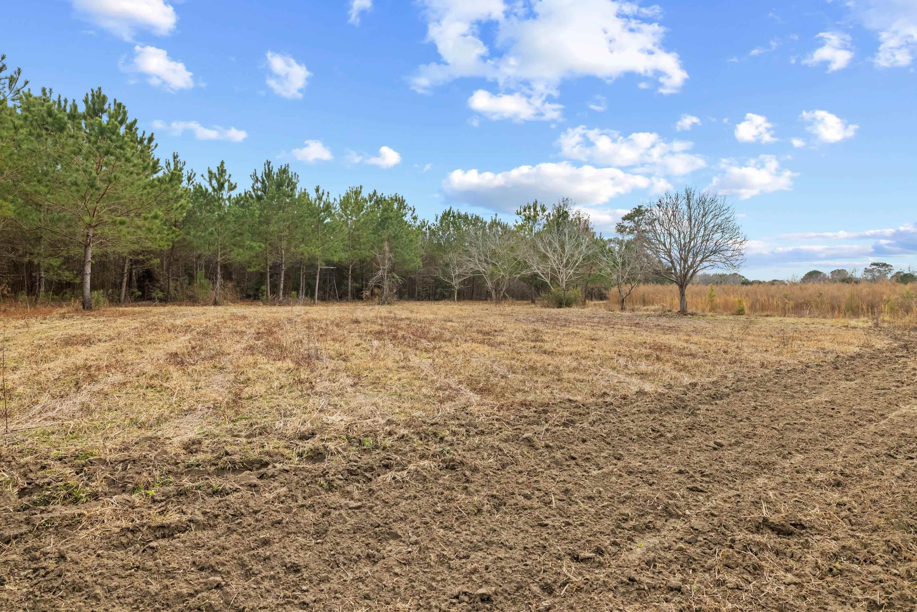 Tbd 183-acres Tbd 183-acres Blakely Road Salters, SC 29590 - Photo 11 of 43