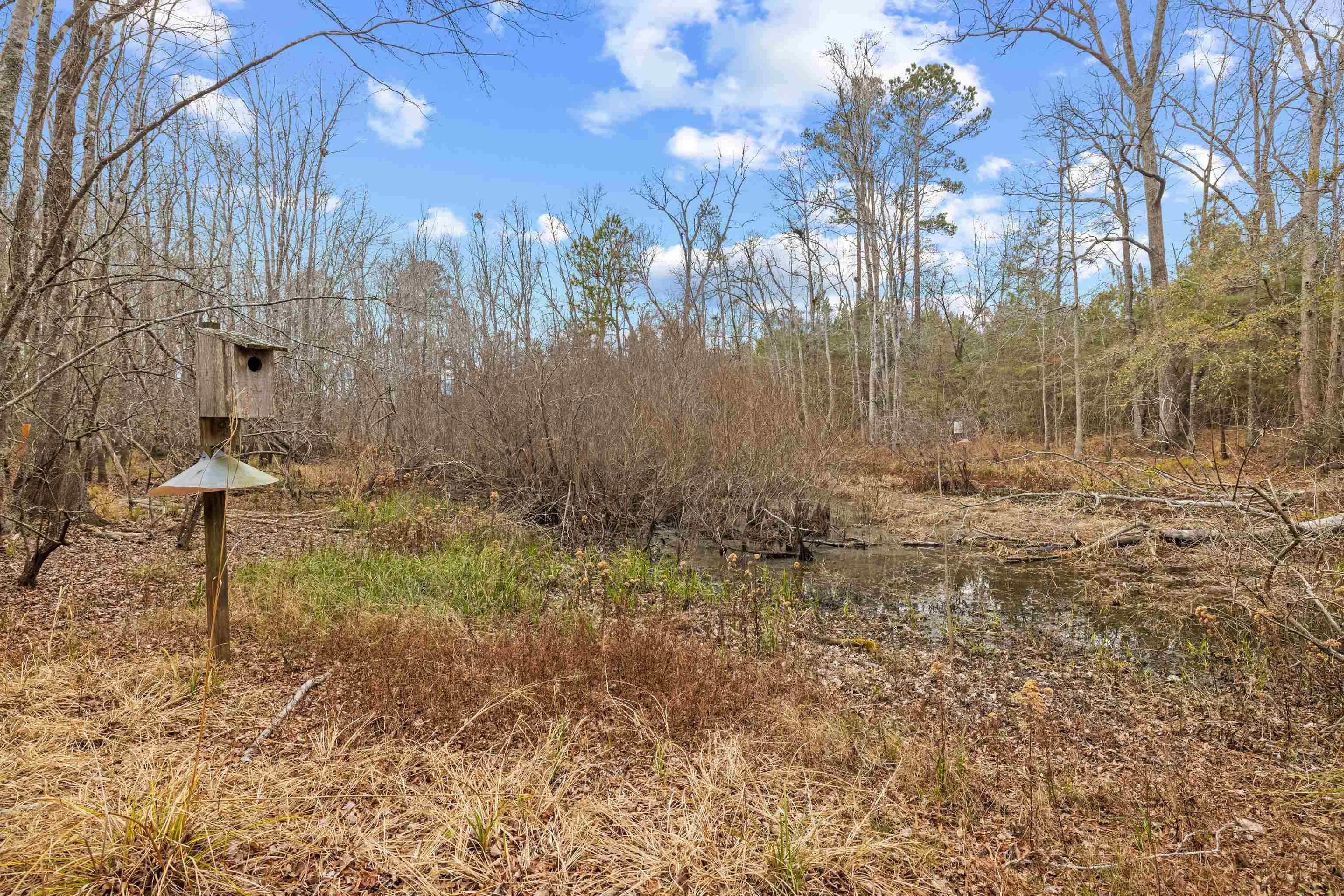 Tbd 183-acres Tbd 183-acres Blakely Road Salters, SC 29590 - Photo 13 of 43