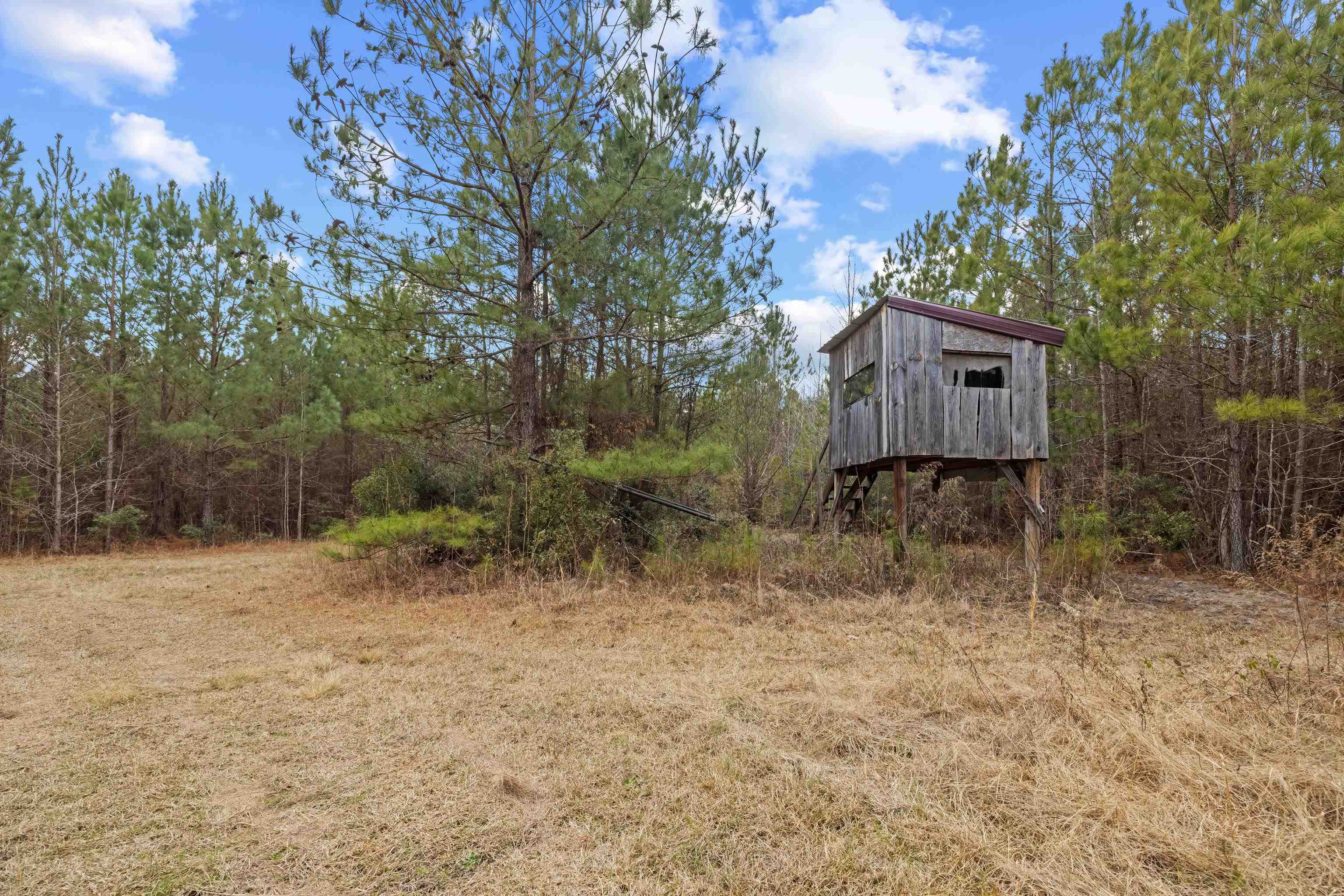 Tbd 183-acres Tbd 183-acres Blakely Road Salters, SC 29590 - Photo 2 of 43