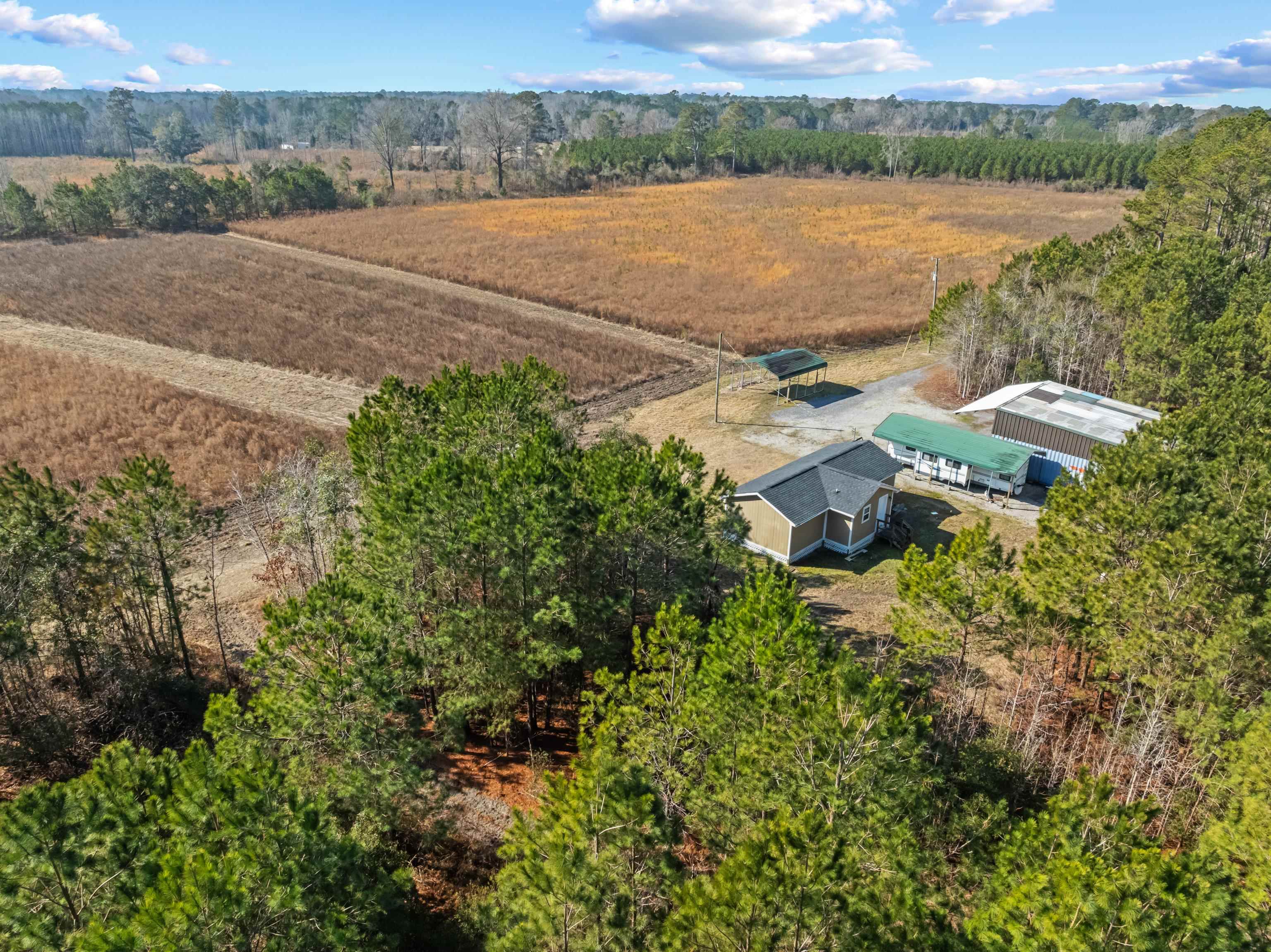 Tbd 183-acres Tbd 183-acres Blakely Road Salters, SC 29590 - Photo 24 of 43