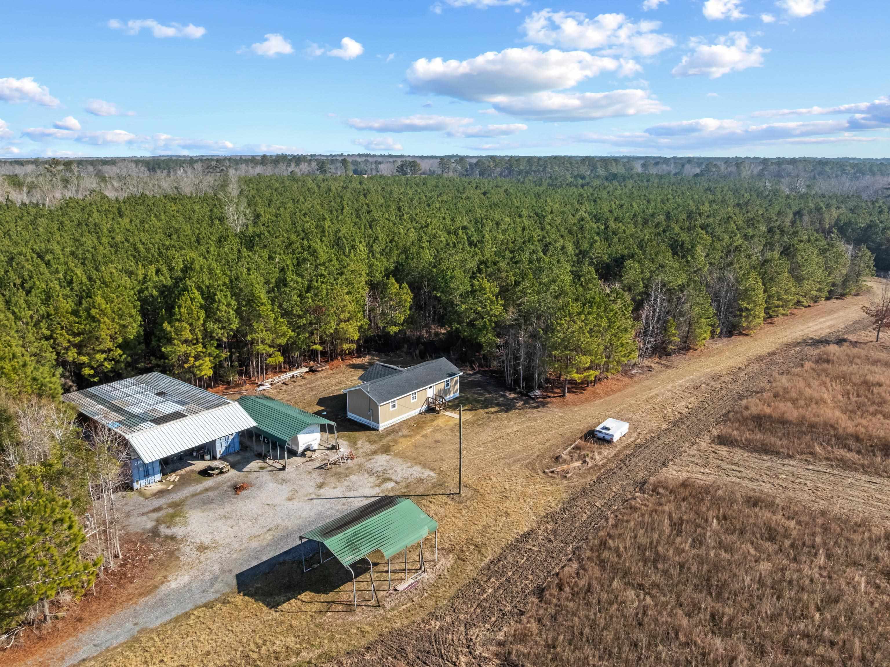 Tbd 183-acres Tbd 183-acres Blakely Road Salters, SC 29590 - Photo 25 of 43