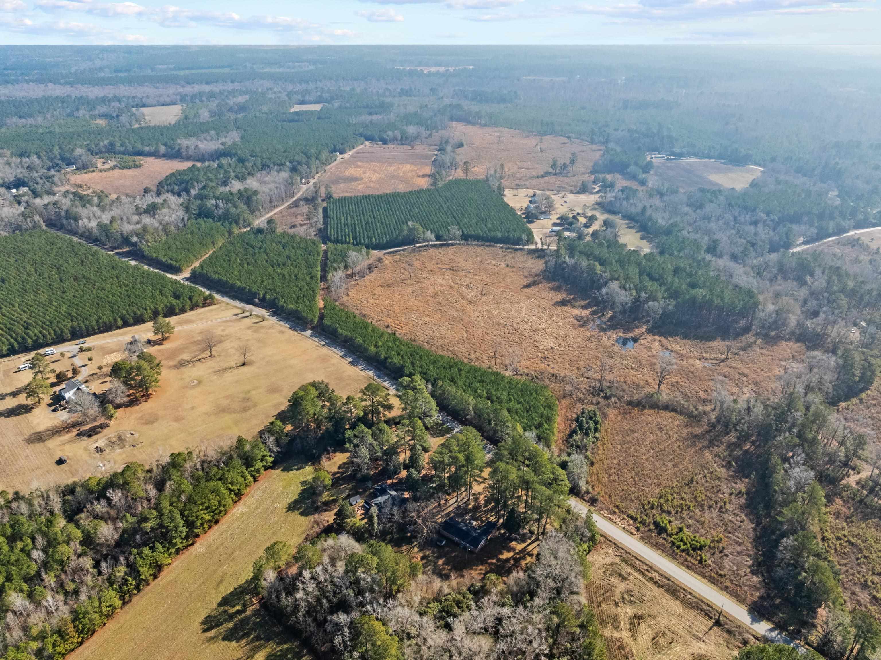 Tbd 183-acres Tbd 183-acres Blakely Road Salters, SC 29590 - Photo 26 of 43