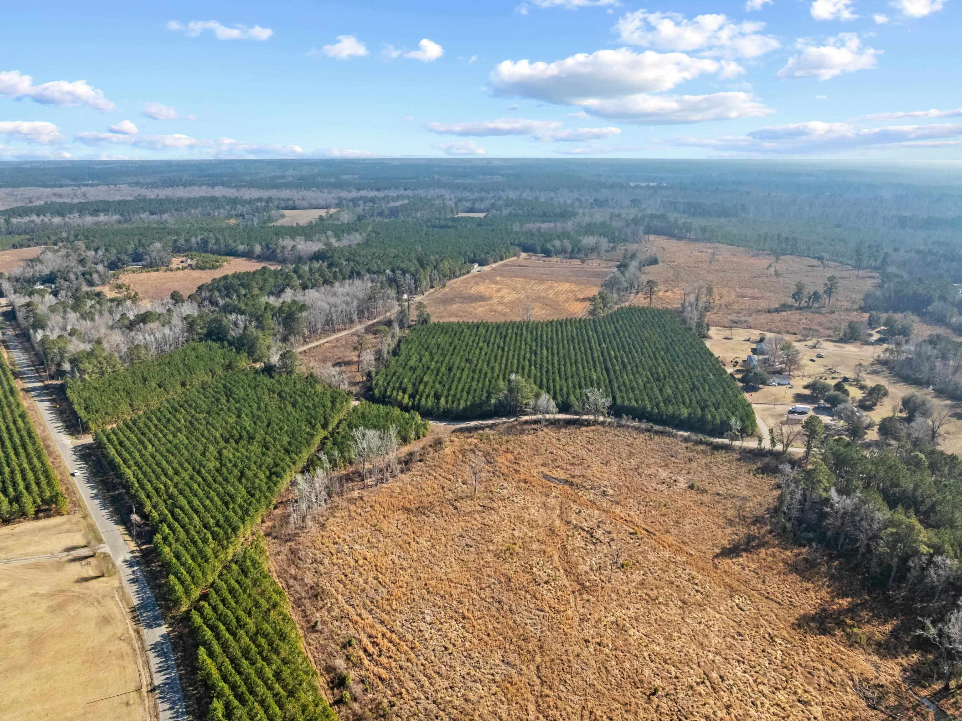 Tbd 183-acres Tbd 183-acres Blakely Road Salters, SC 29590 - Photo 27 of 43