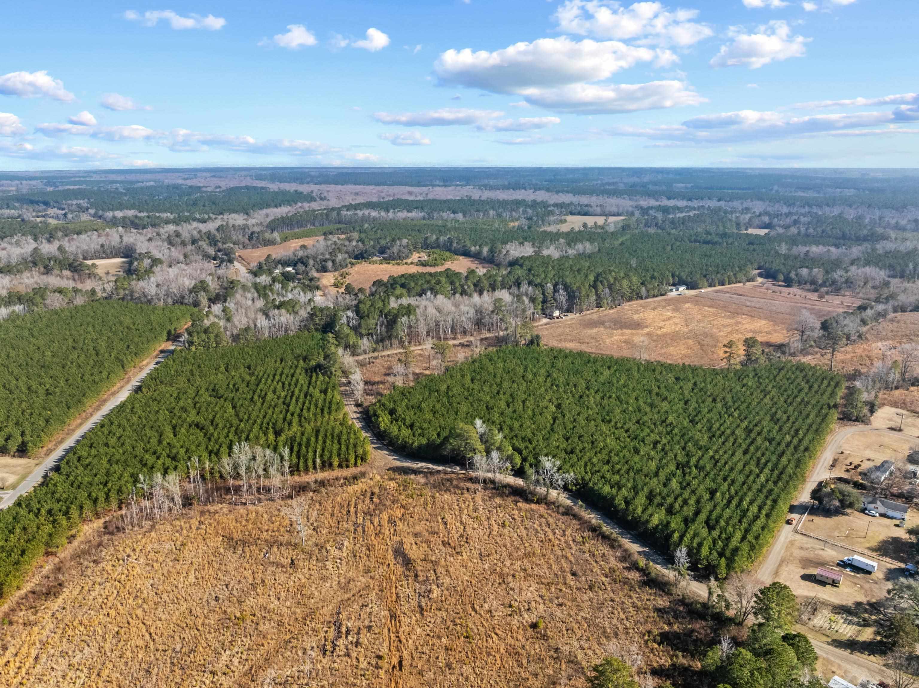 Tbd 183-acres Tbd 183-acres Blakely Road Salters, SC 29590 - Photo 28 of 43