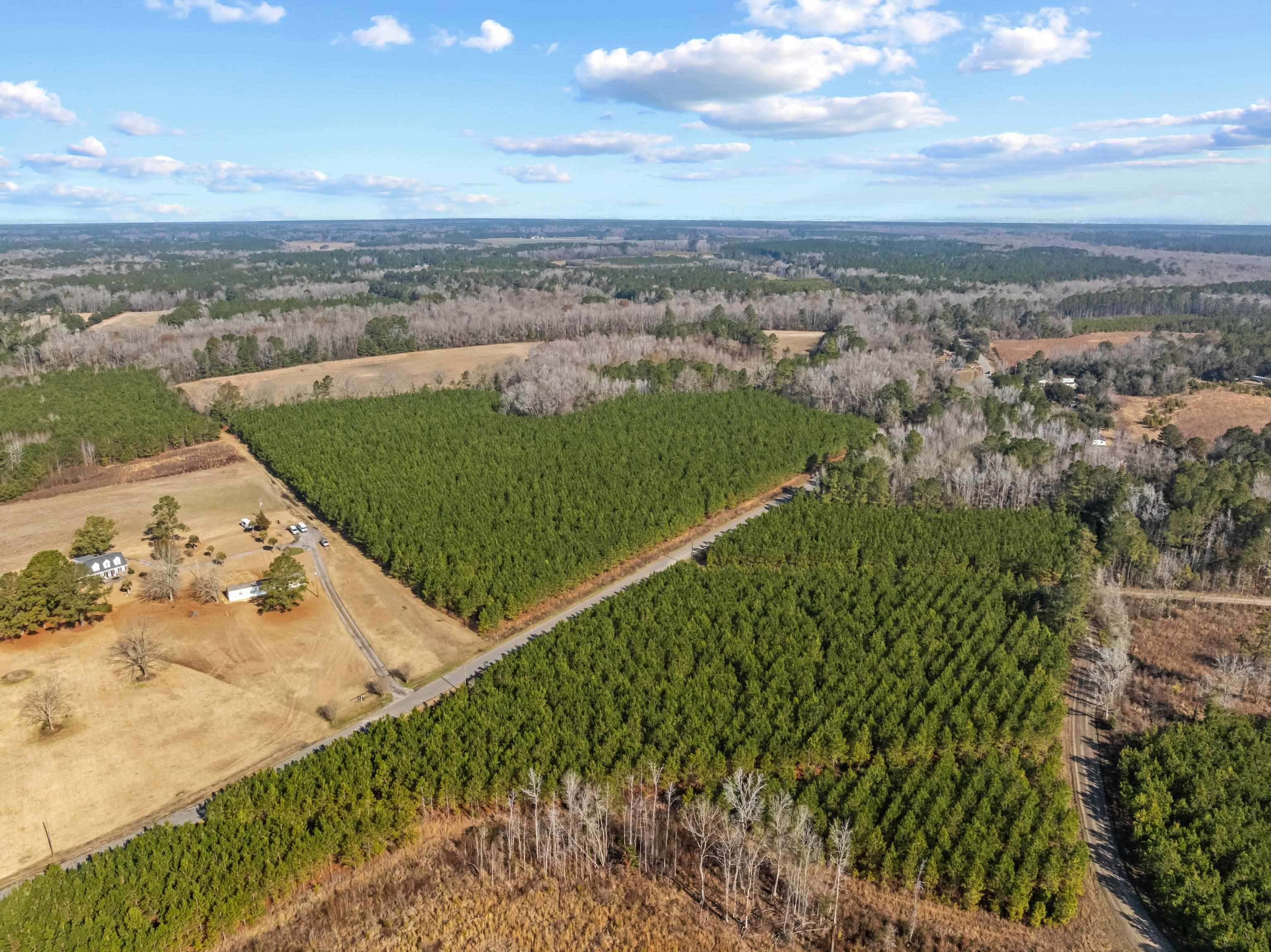 Tbd 183-acres Tbd 183-acres Blakely Road Salters, SC 29590 - Photo 29 of 43