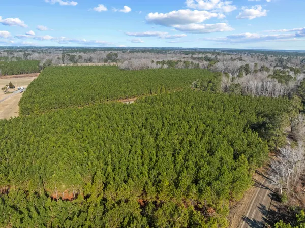 $1,200,000 | Tbd 183-acres Tbd 183-acres Blakely Road, Salters, SC 29590