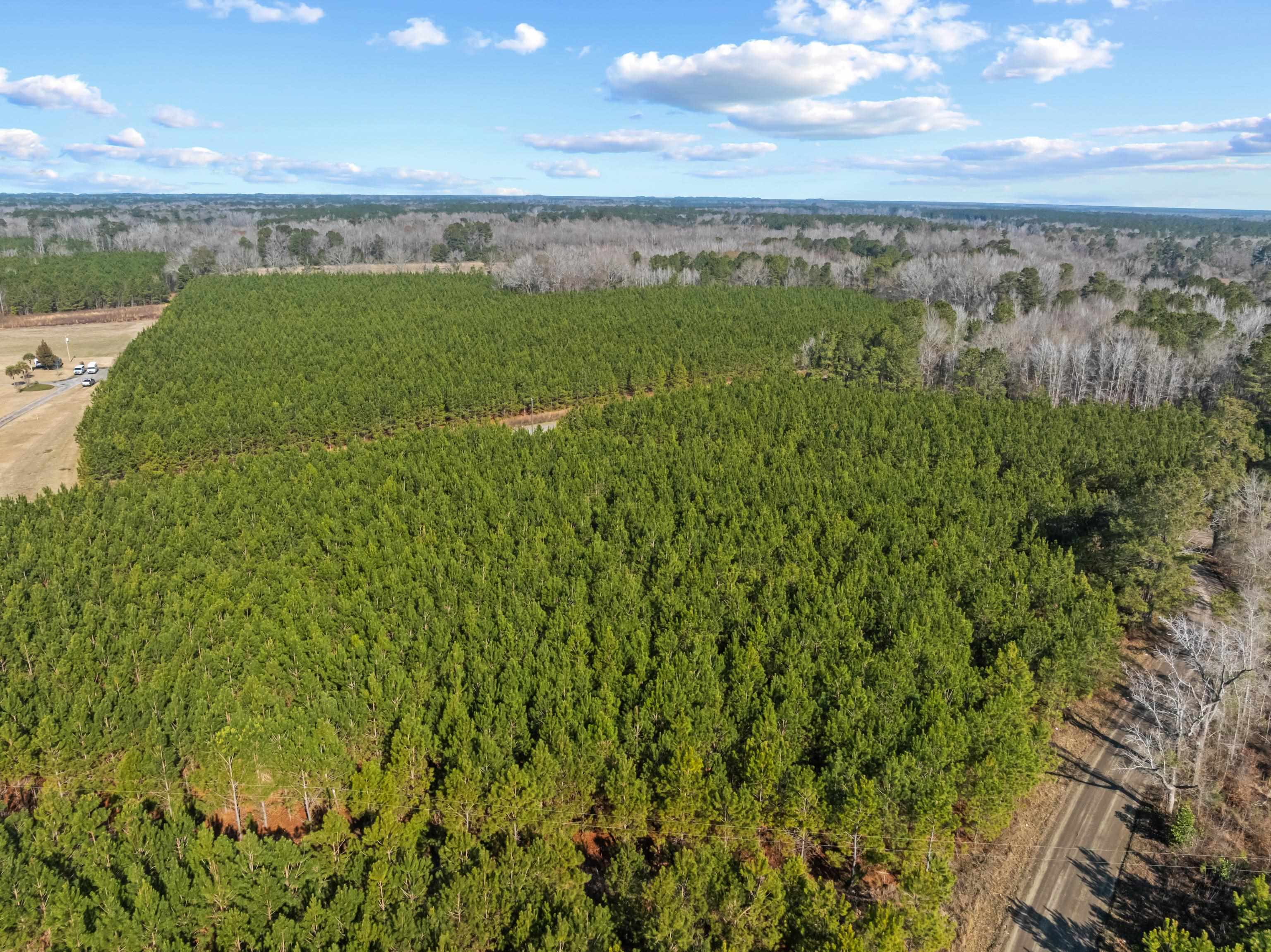 Tbd 183-acres Tbd 183-acres Blakely Road Salters, SC 29590 - Photo 30 of 43