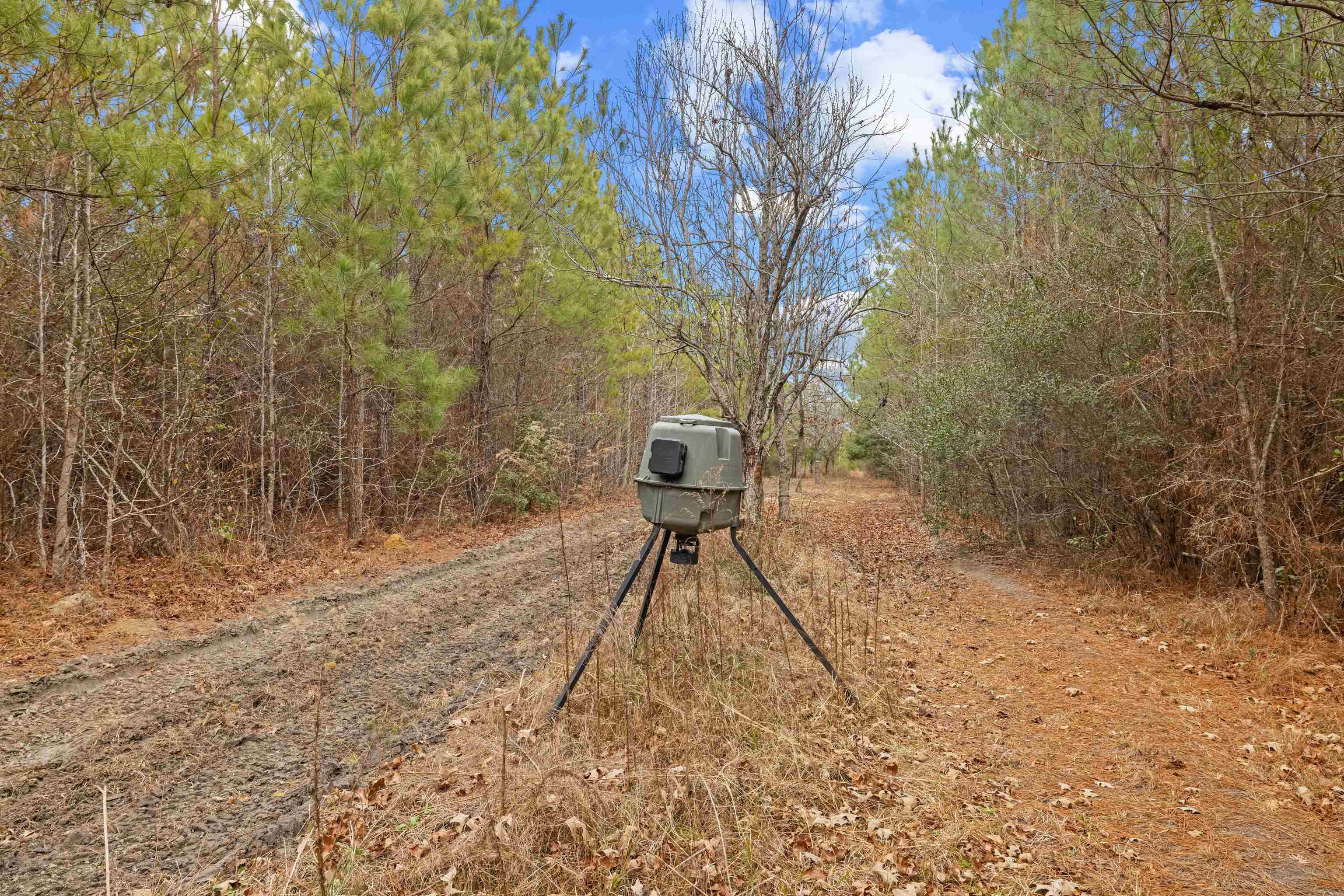 Tbd 183-acres Tbd 183-acres Blakely Road Salters, SC 29590 - Photo 3 of 43