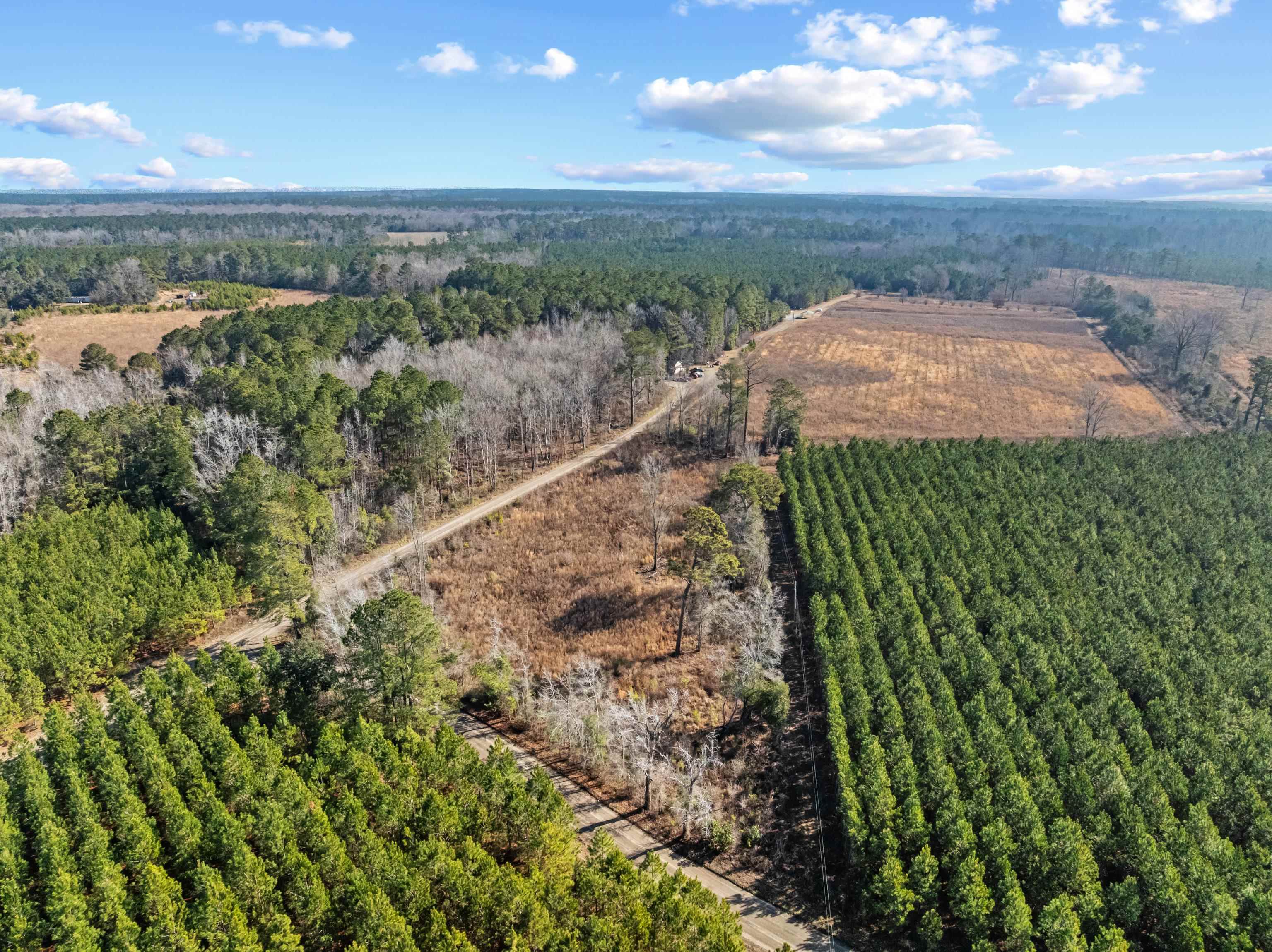 Tbd 183-acres Tbd 183-acres Blakely Road Salters, SC 29590 - Photo 31 of 43