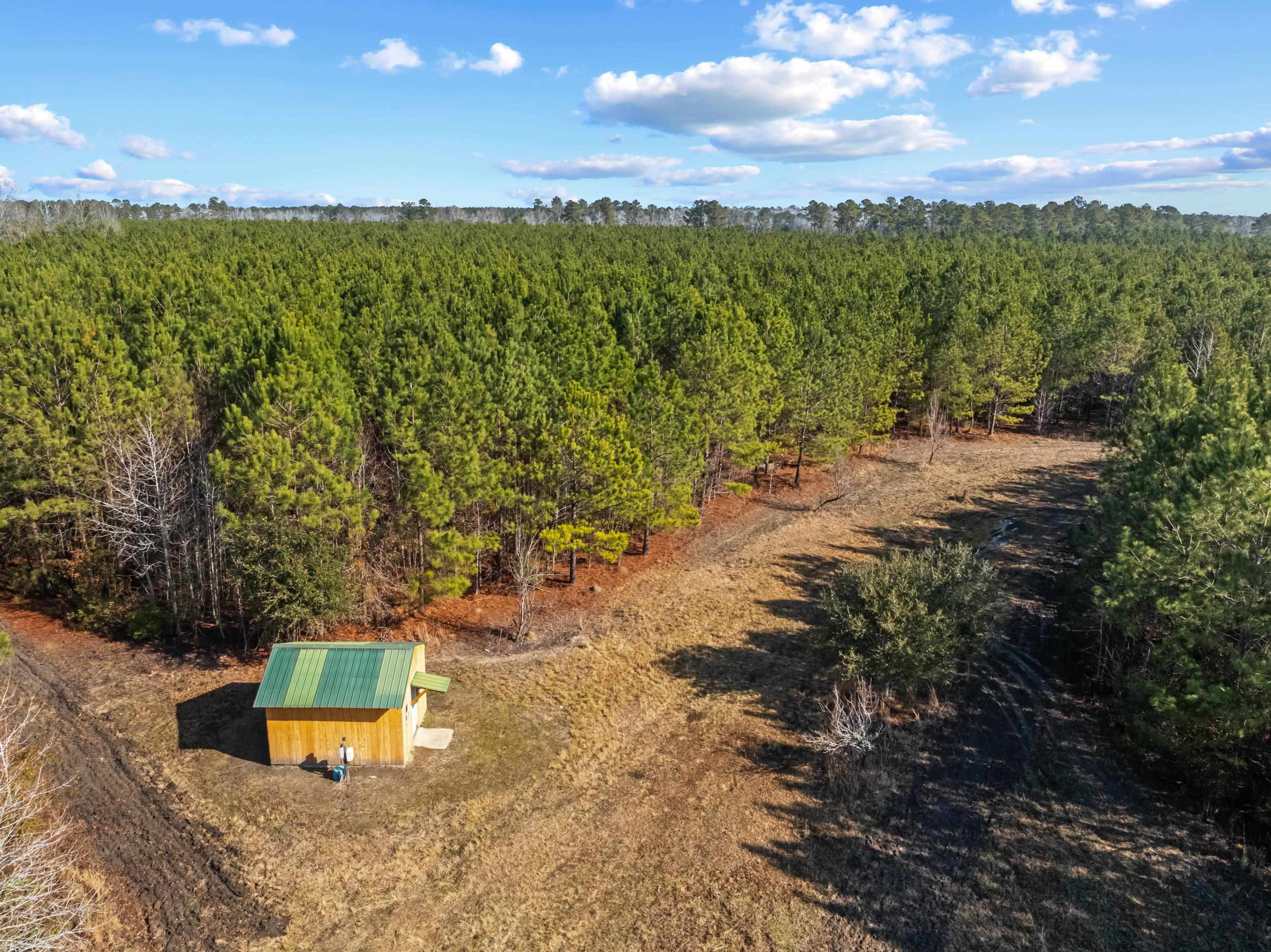 Tbd 183-acres Tbd 183-acres Blakely Road Salters, SC 29590 - Photo 32 of 43