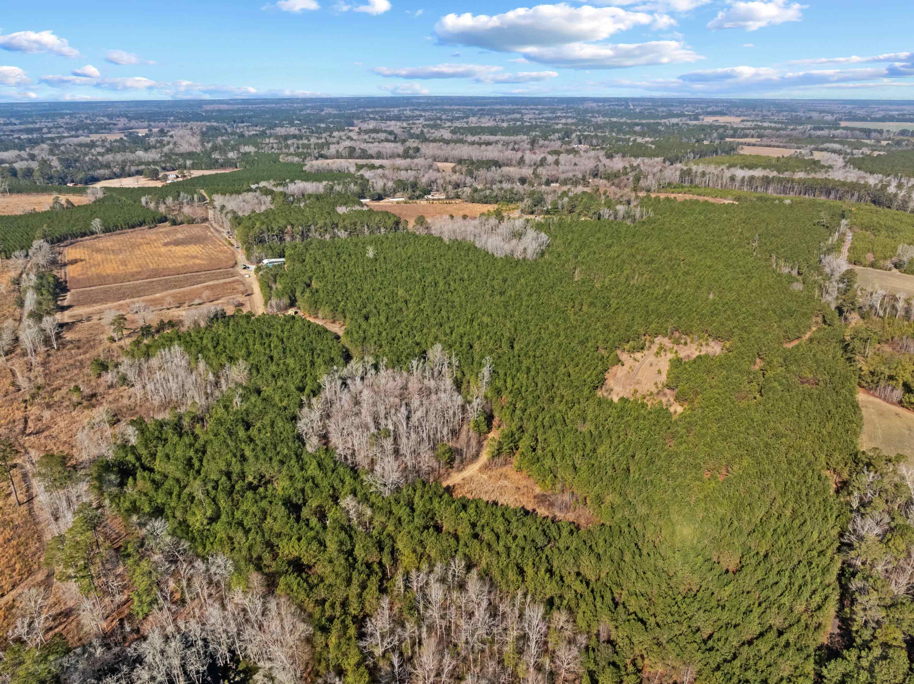 Tbd 183-acres Tbd 183-acres Blakely Road Salters, SC 29590 - Photo 33 of 43
