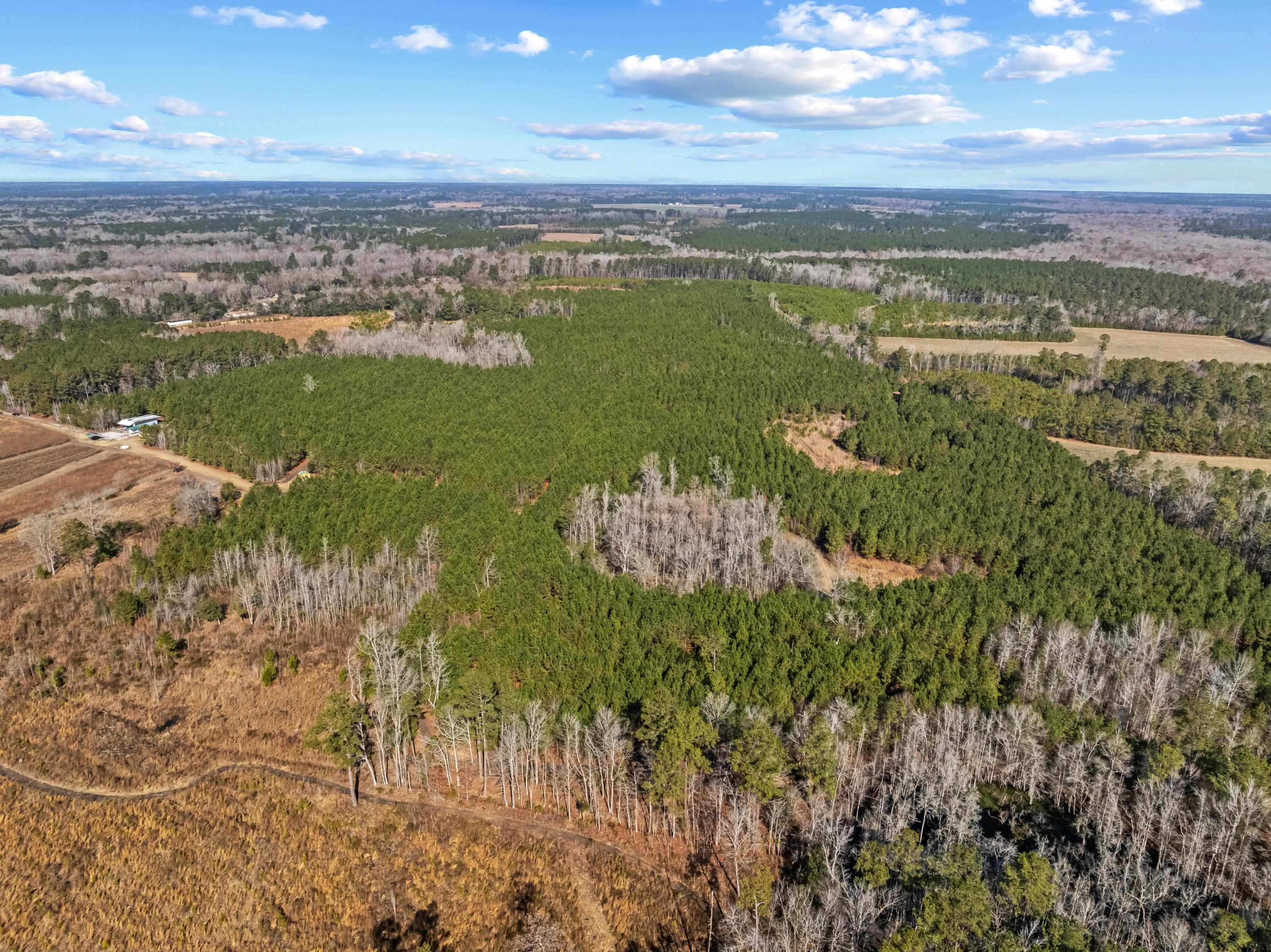 Tbd 183-acres Tbd 183-acres Blakely Road Salters, SC 29590 - Photo 34 of 43