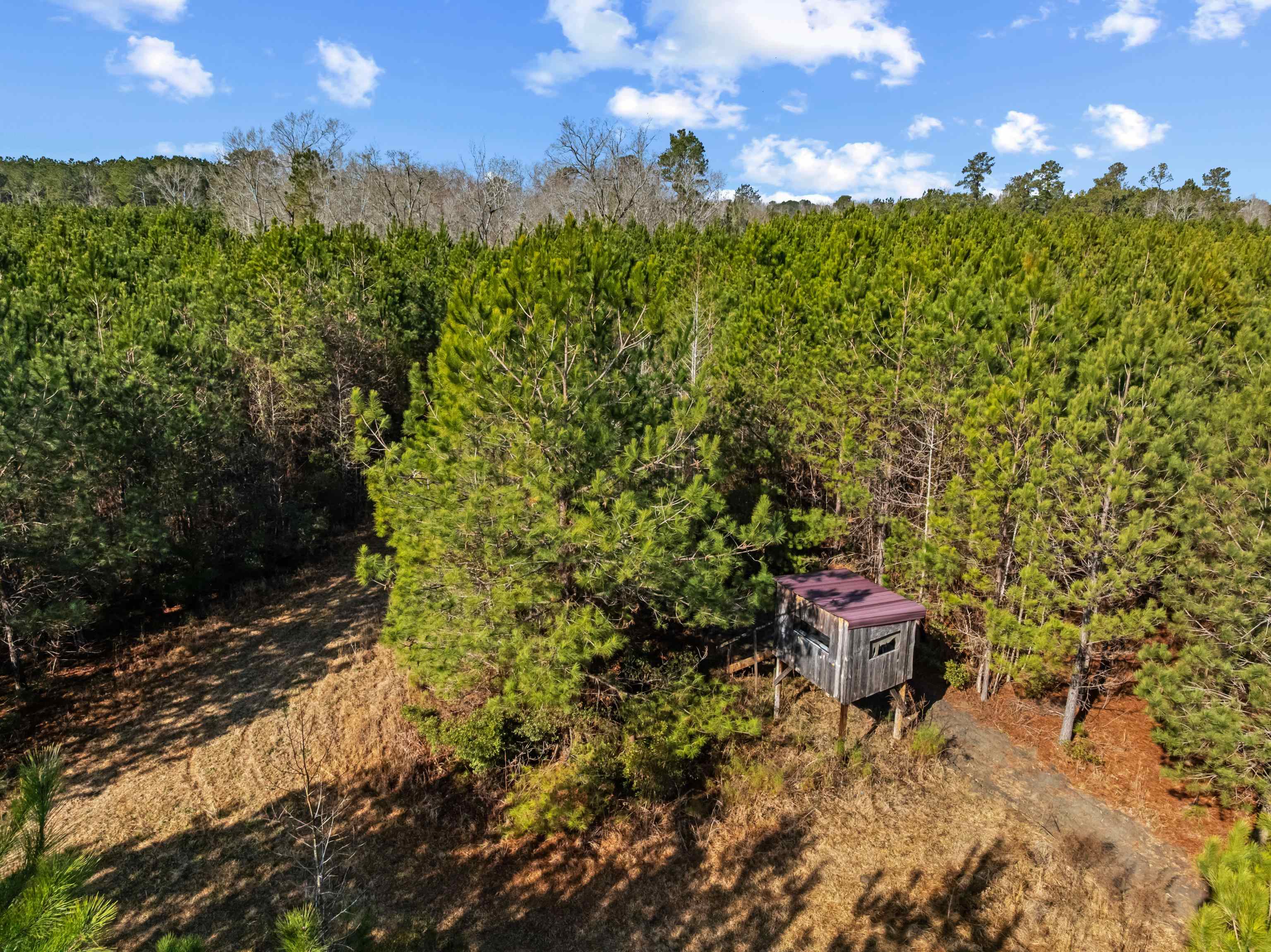 Tbd 183-acres Tbd 183-acres Blakely Road Salters, SC 29590 - Photo 4 of 43