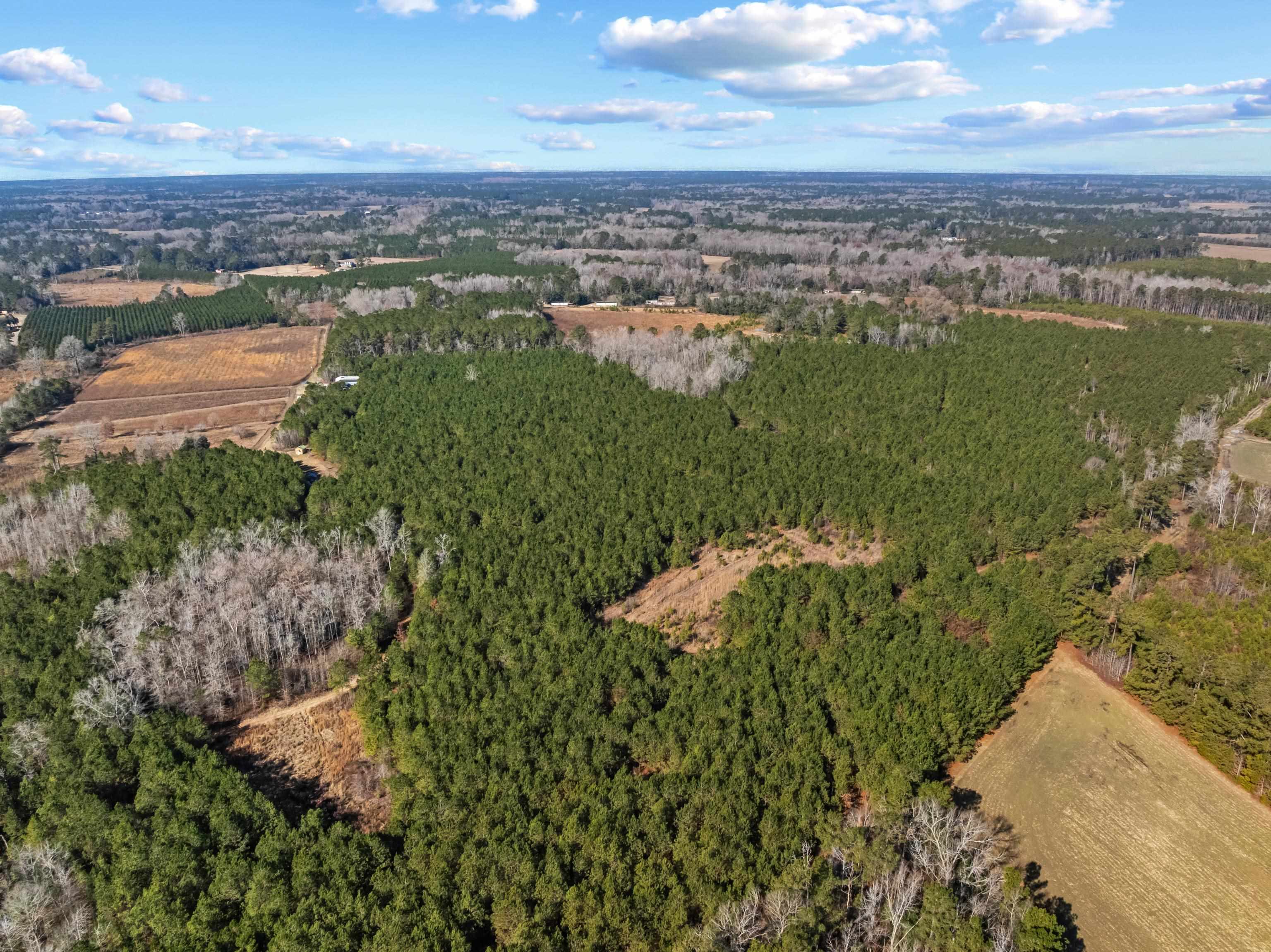 Tbd 183-acres Tbd 183-acres Blakely Road Salters, SC 29590 - Photo 5 of 43