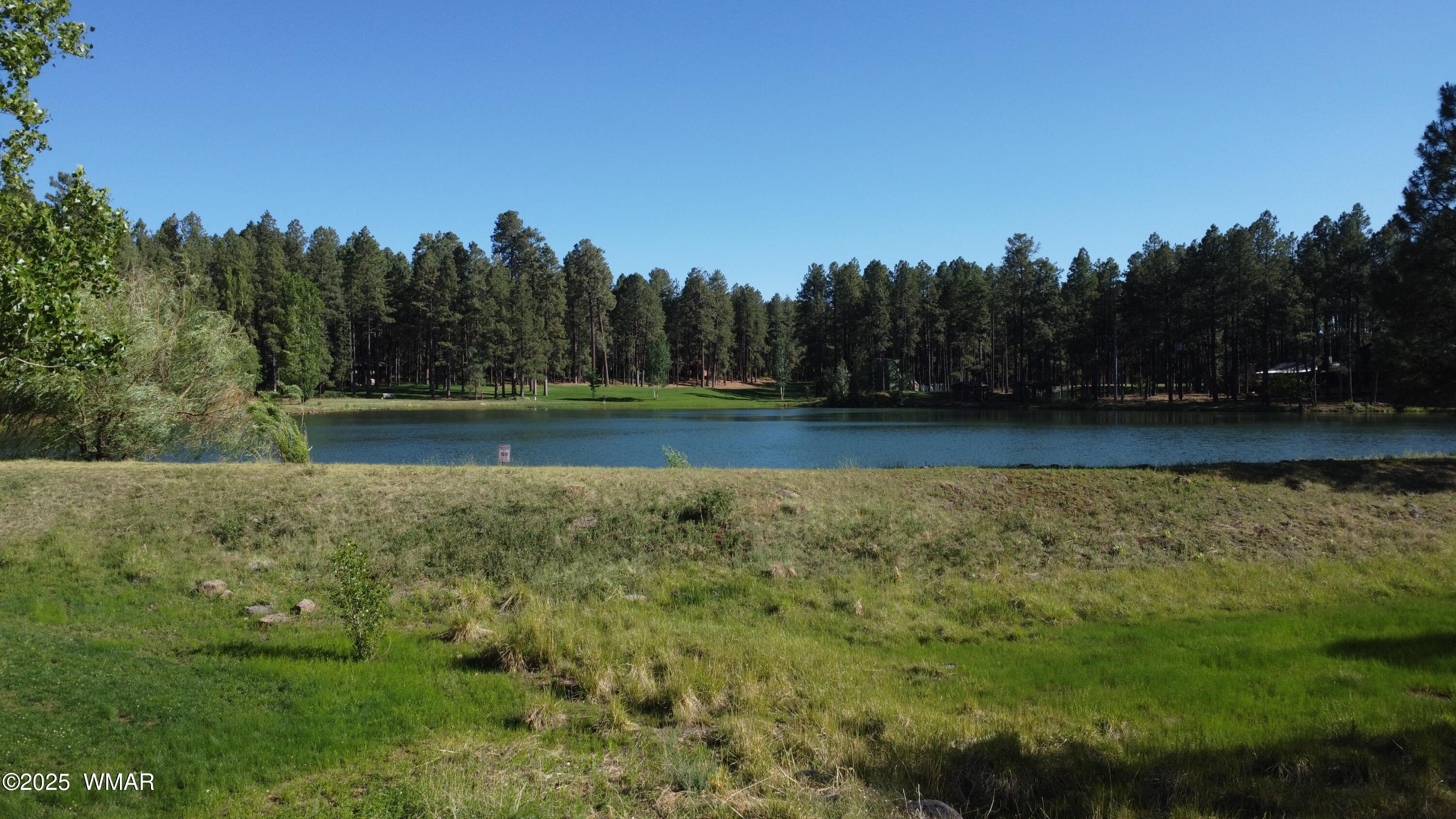 8173 White Oak Road Pinetop, AZ 85935 - Photo 58 of 79 Lake