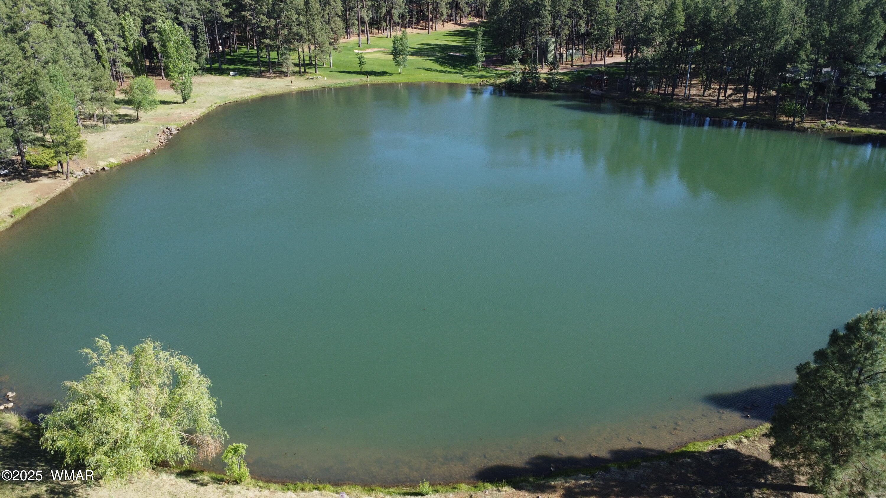 8173 White Oak Road Pinetop, AZ 85935 - Photo 59 of 79 Lake