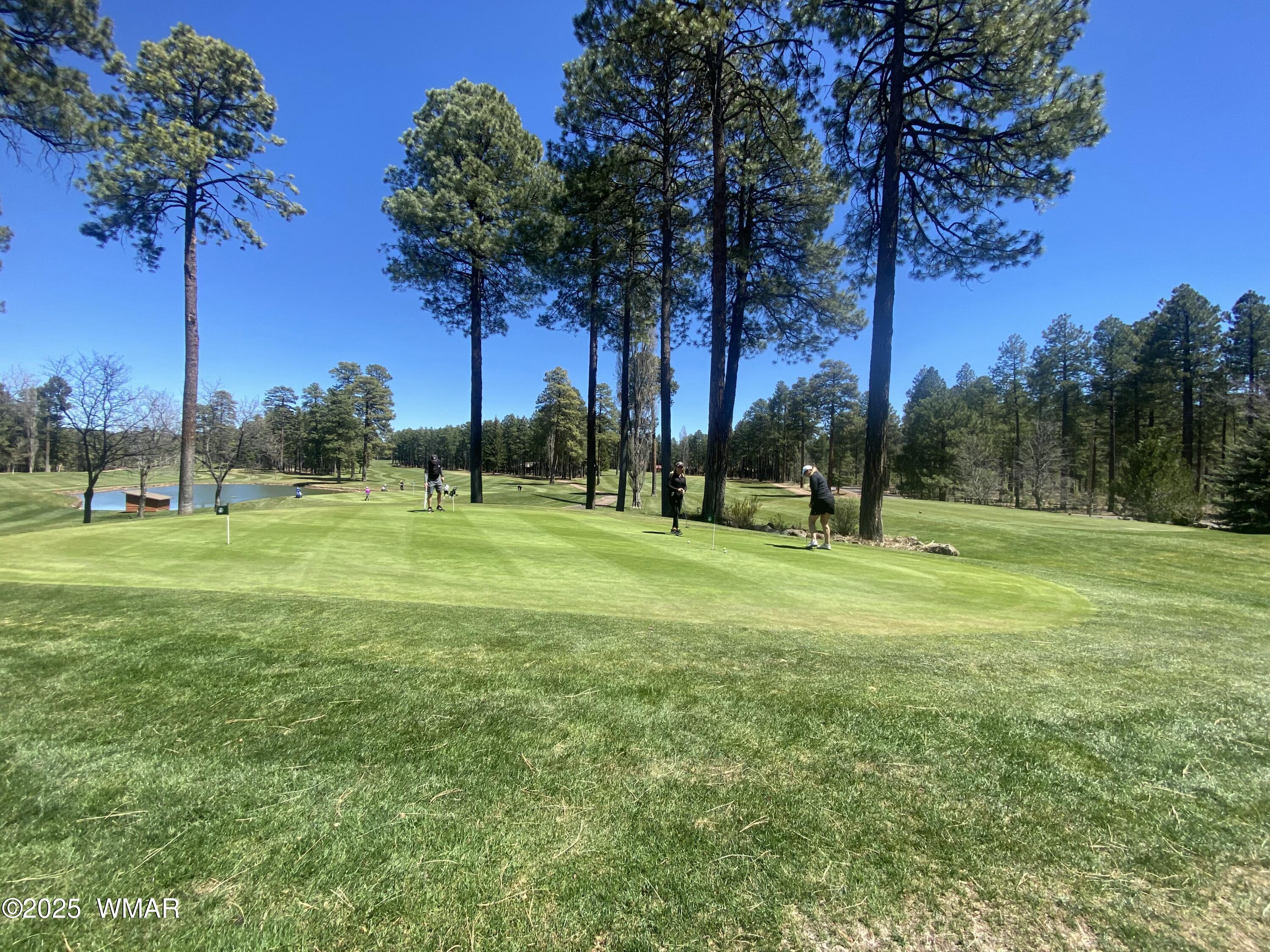 8173 White Oak Road Pinetop, AZ 85935 - Photo 60 of 79 Golf Box