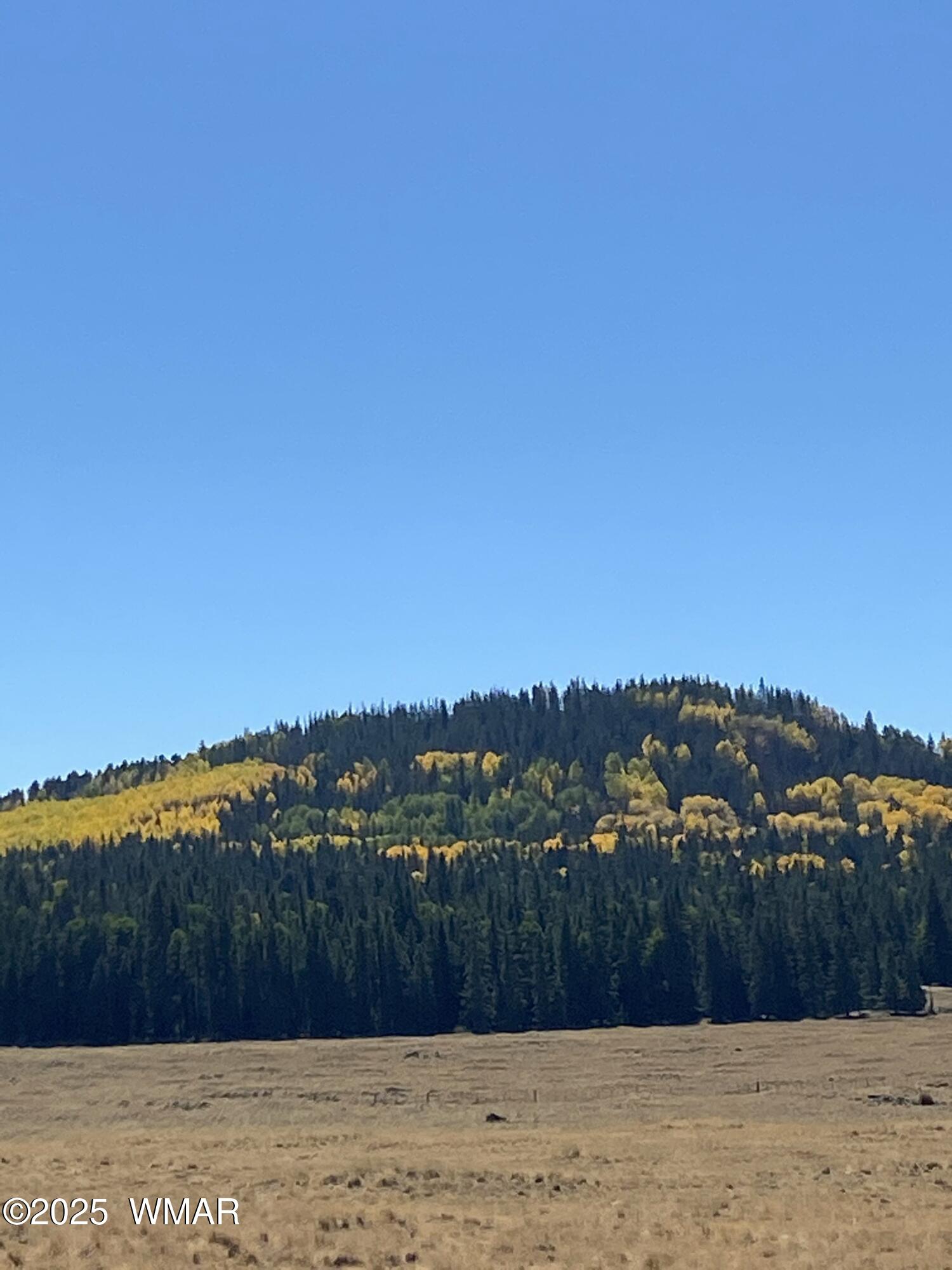 8173 White Oak Road Pinetop, AZ 85935 - Photo 65 of 79 Fall Mountains