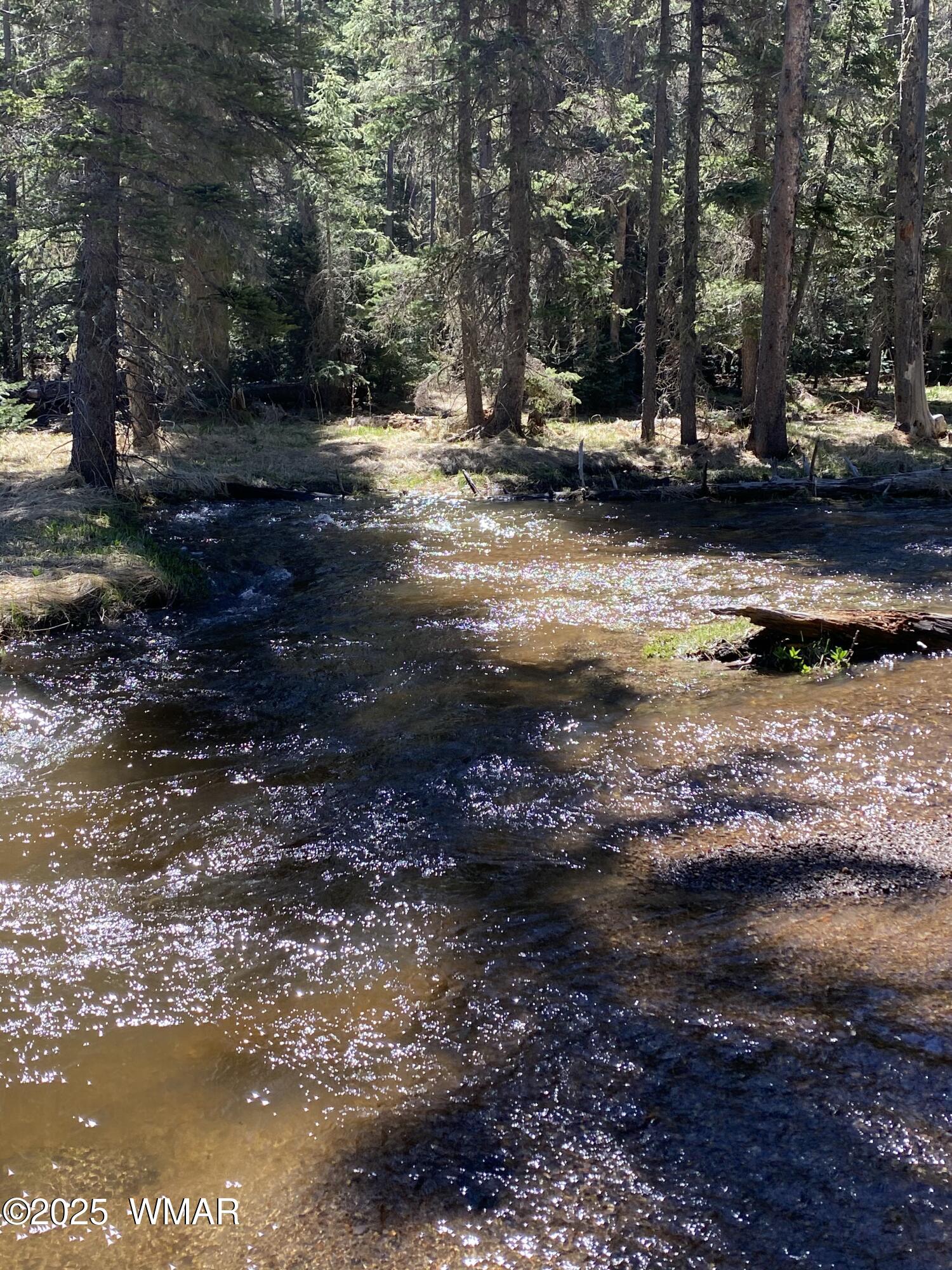 8173 White Oak Road Pinetop, AZ 85935 - Photo 73 of 79 Greer Streams