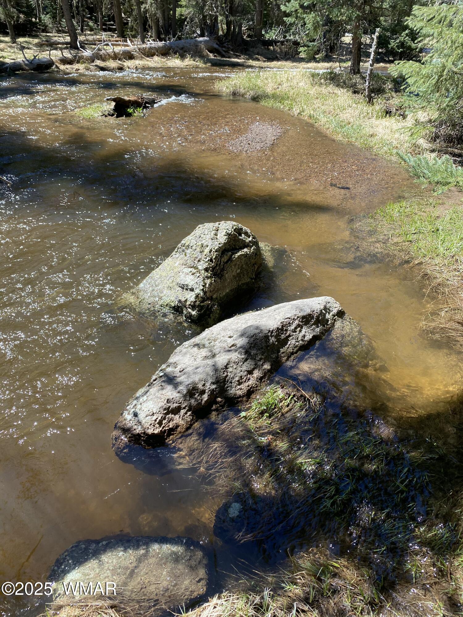 8173 White Oak Road Pinetop, AZ 85935 - Photo 75 of 79 Waterways