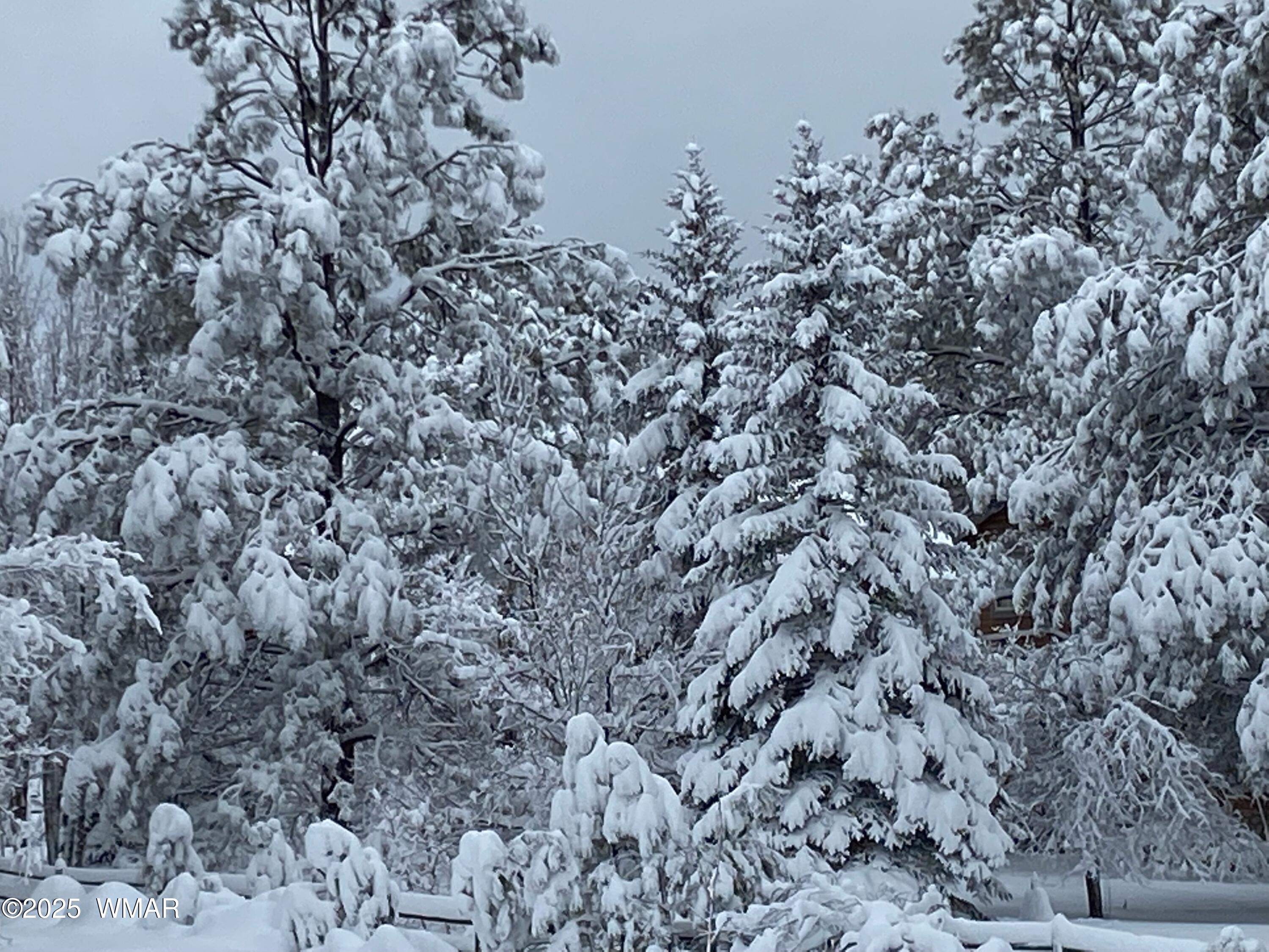 8173 White Oak Road Pinetop, AZ 85935 - Photo 76 of 79 Winter Snow
