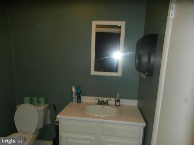 a bathroom with a sink toilet and mirror