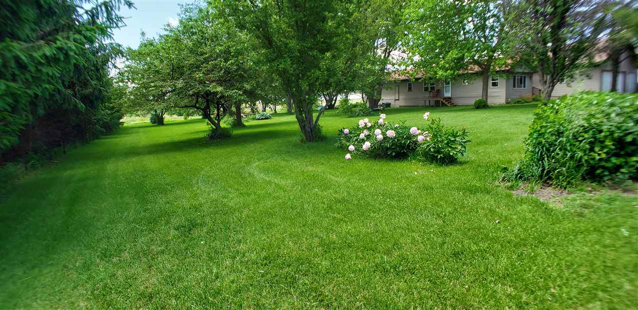 1573 Burkett Road Dixon, IL 61021 - Photo 20 of 25 a view of a trees in a yard