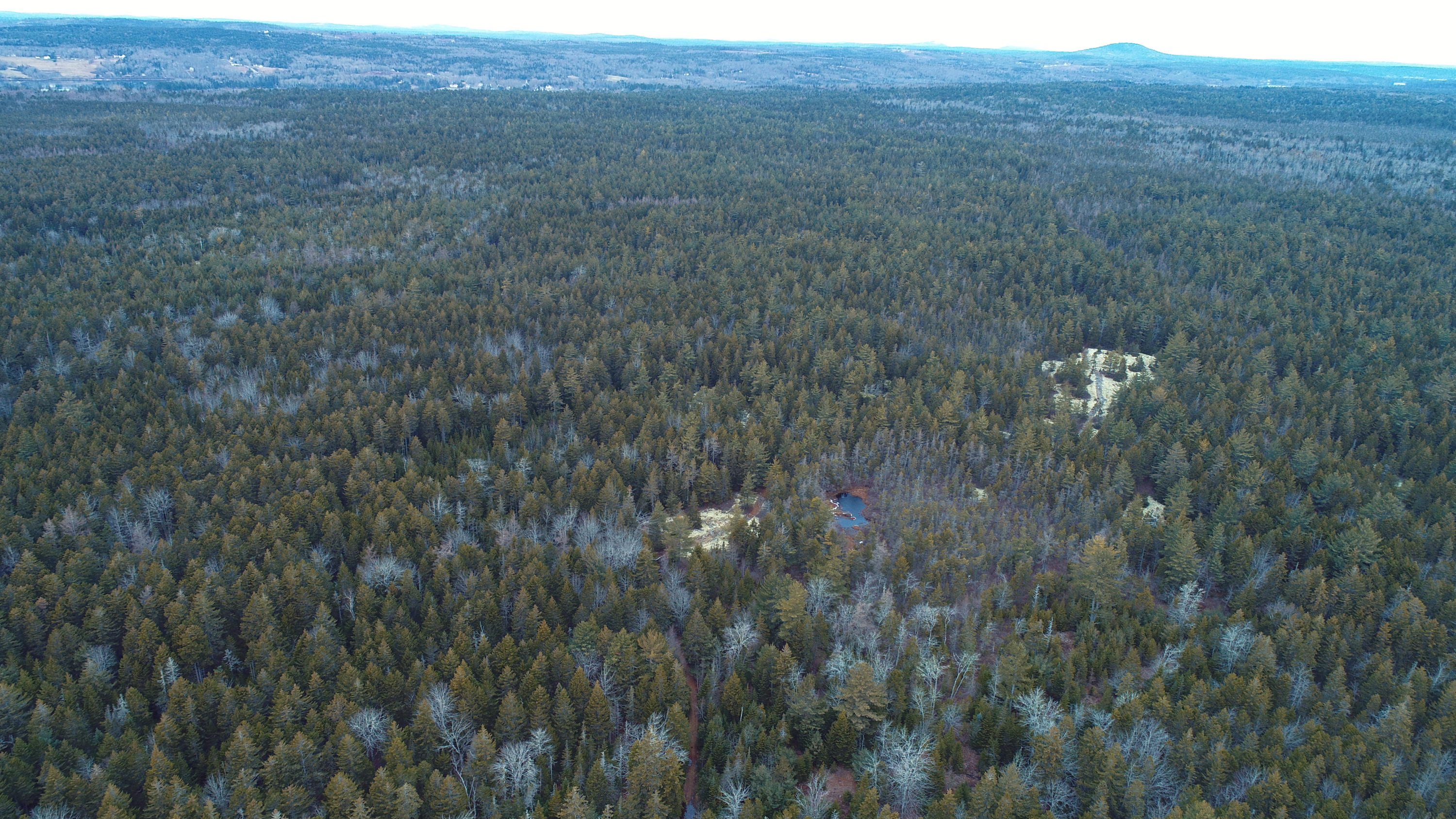 Off Folly Road Brooklin, ME 04616 - Photo 20 of 28 DJI_0019