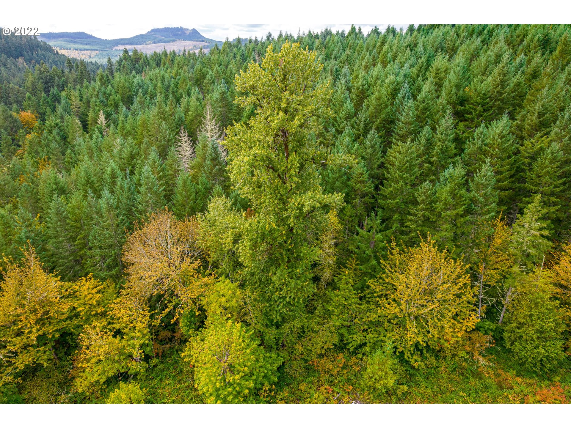 Garoutte Road West, Unit TL900 Cottage Grove, OR 97424 - Photo 16 of 31 Gallery Image 16