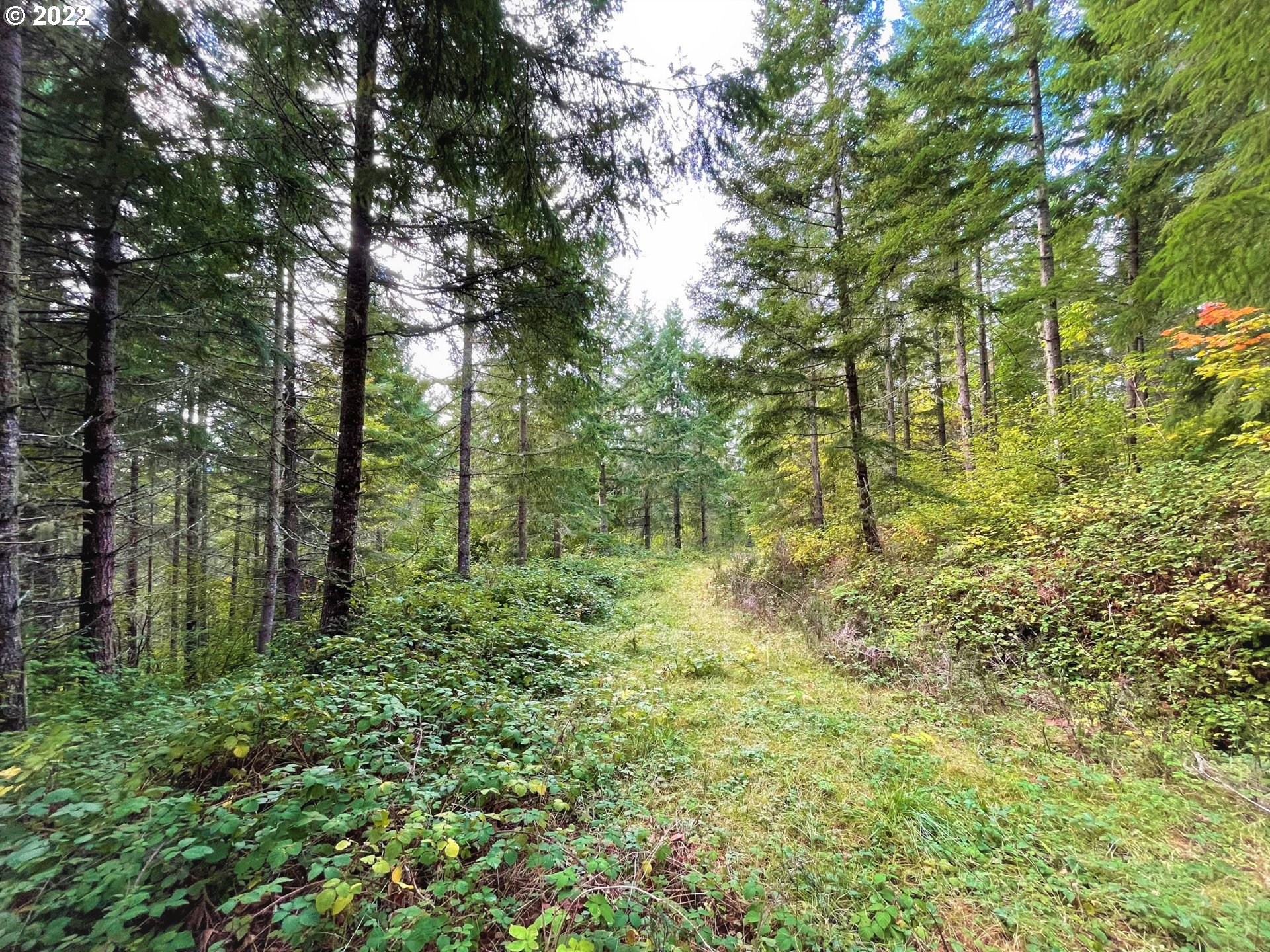 Garoutte Road West, Unit TL900 Cottage Grove, OR 97424 - Photo 28 of 31 Gallery Image 28